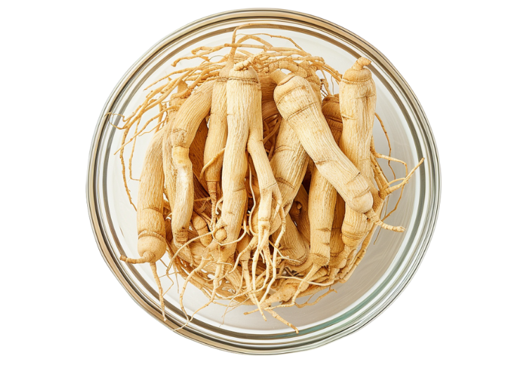 Ginseng