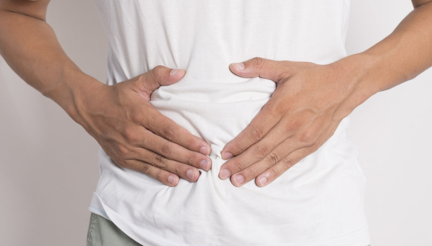 Vatsa ja ruoansulatusjärjestelmä