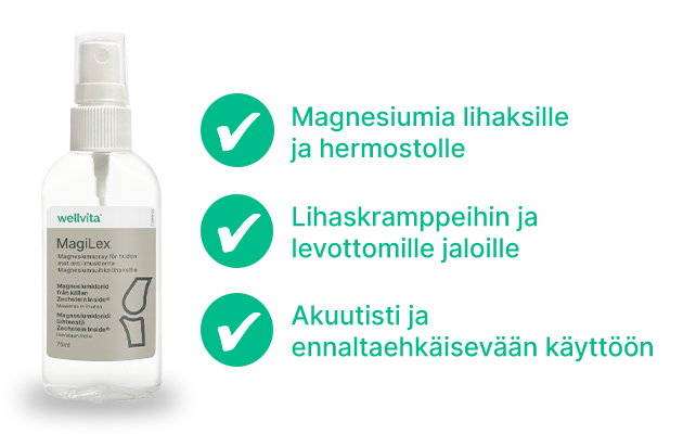 MagiLex billede 3