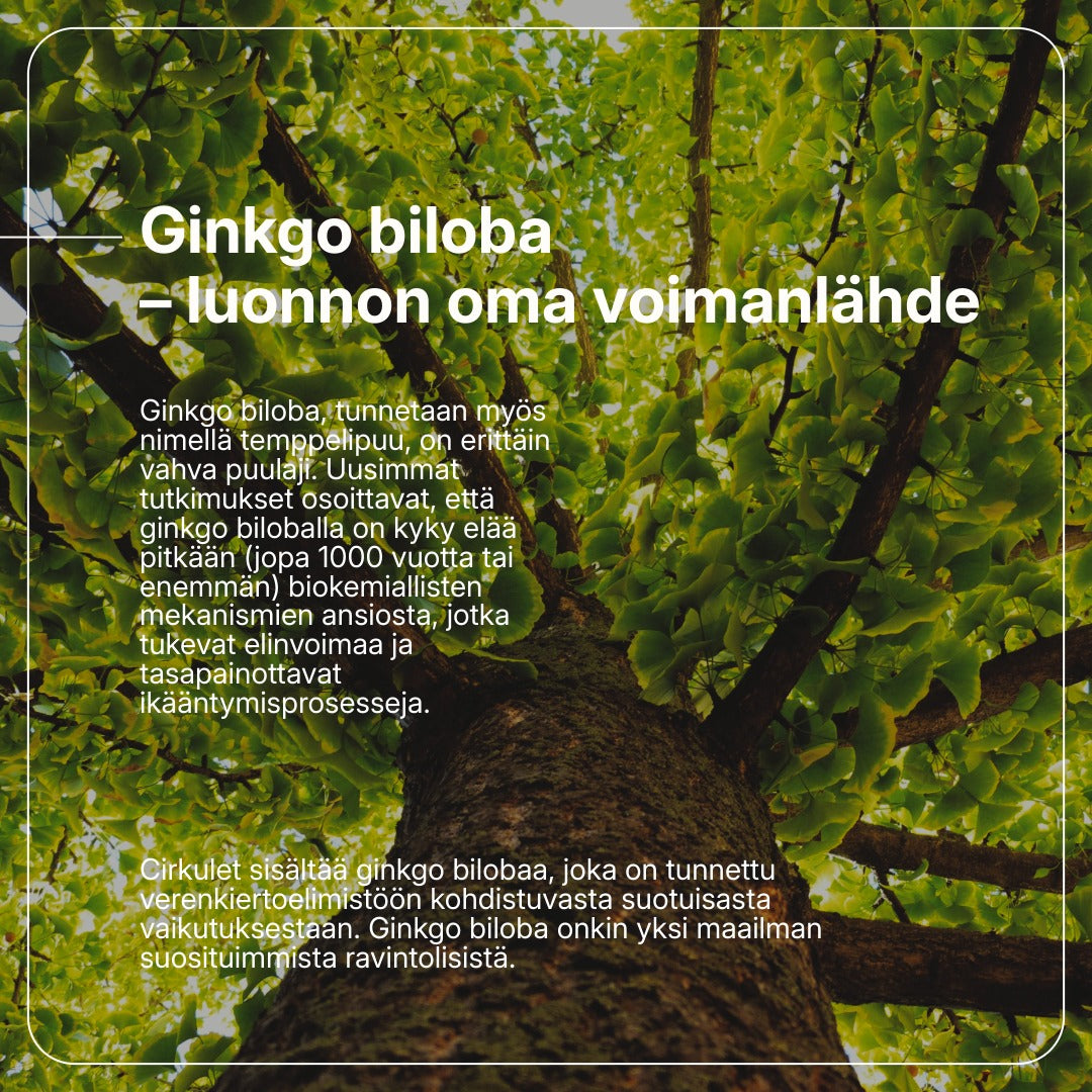 Cirkulet billede 3