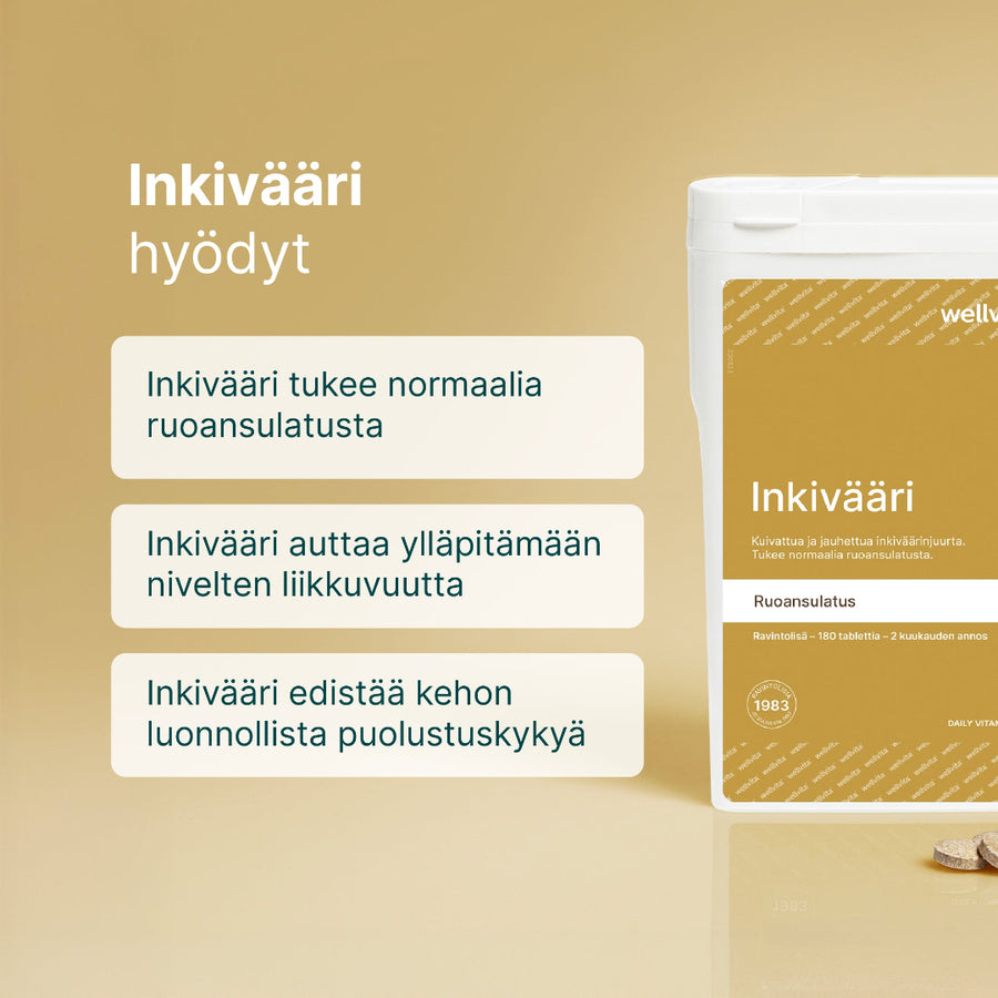 Inkivääri billede 2