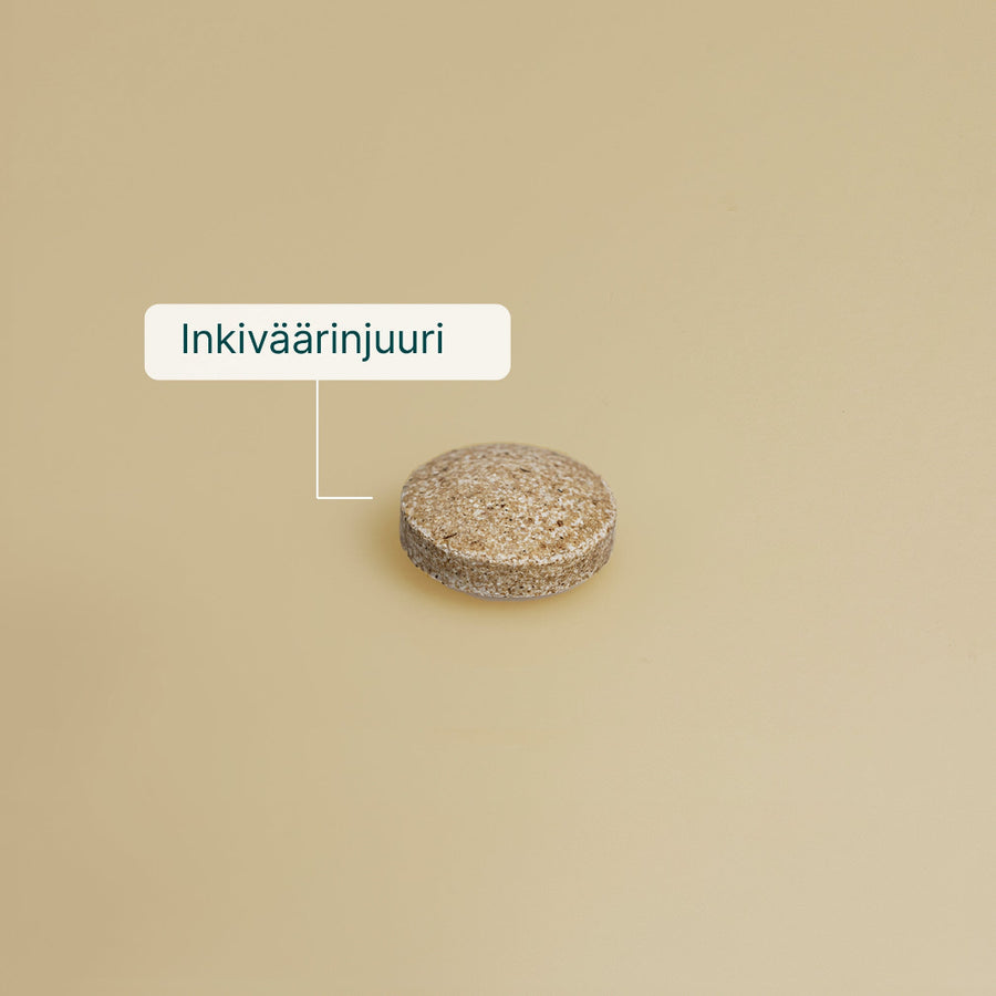 Inkivääri billede 5