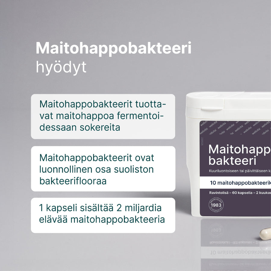 Maitohappobakteeri billede 2