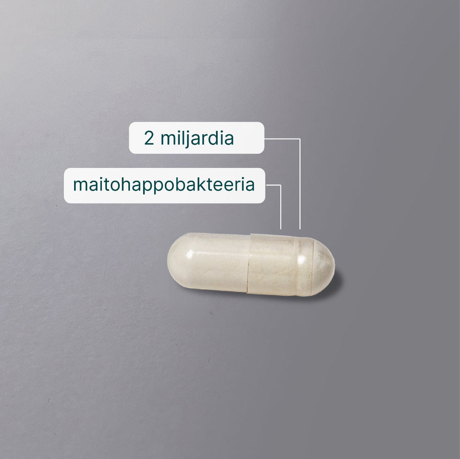 Maitohappobakteeri billede 5