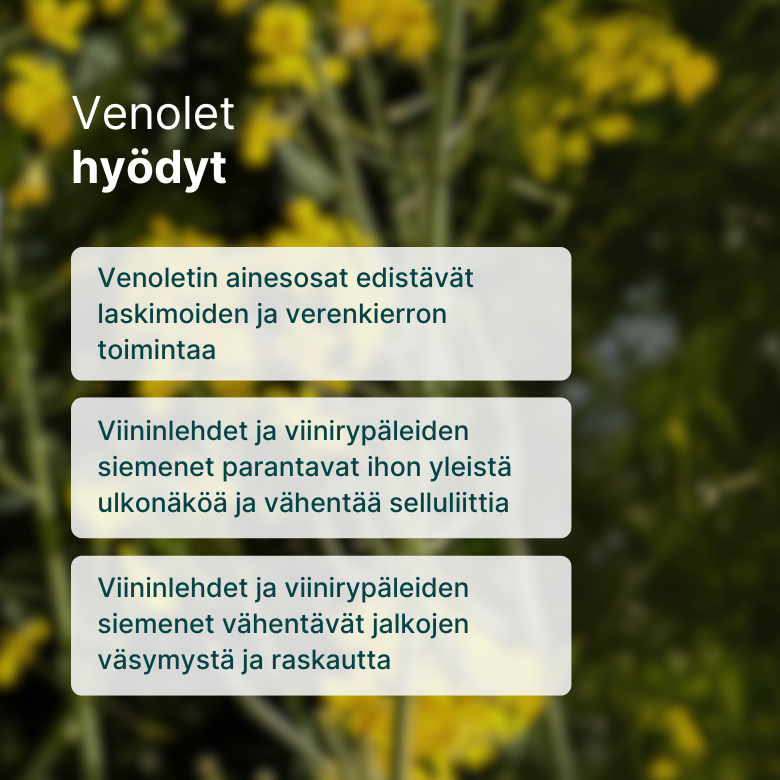 Venolet billede 2