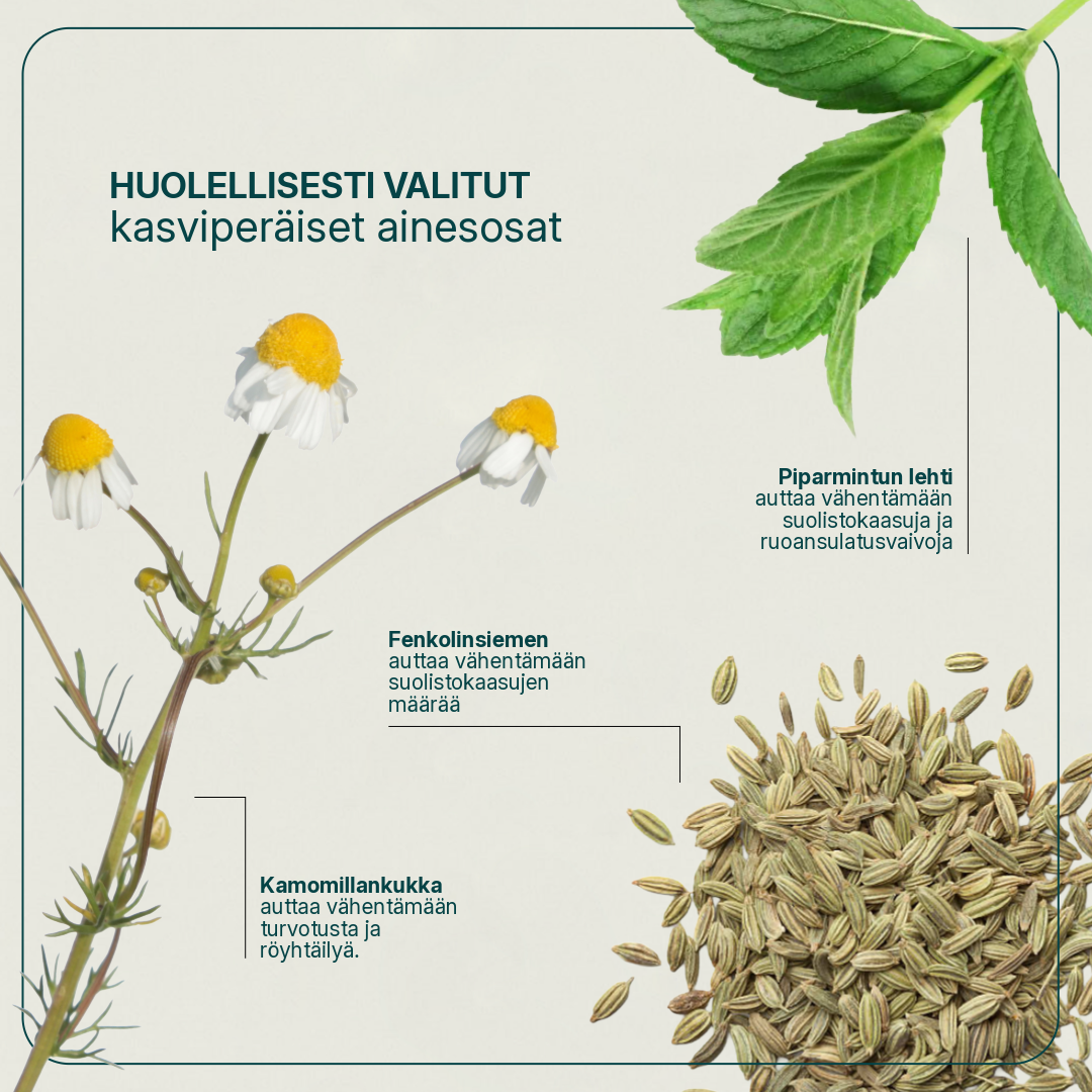 Gestomax billede 2