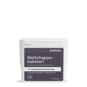 Maitohappo-bakteeri