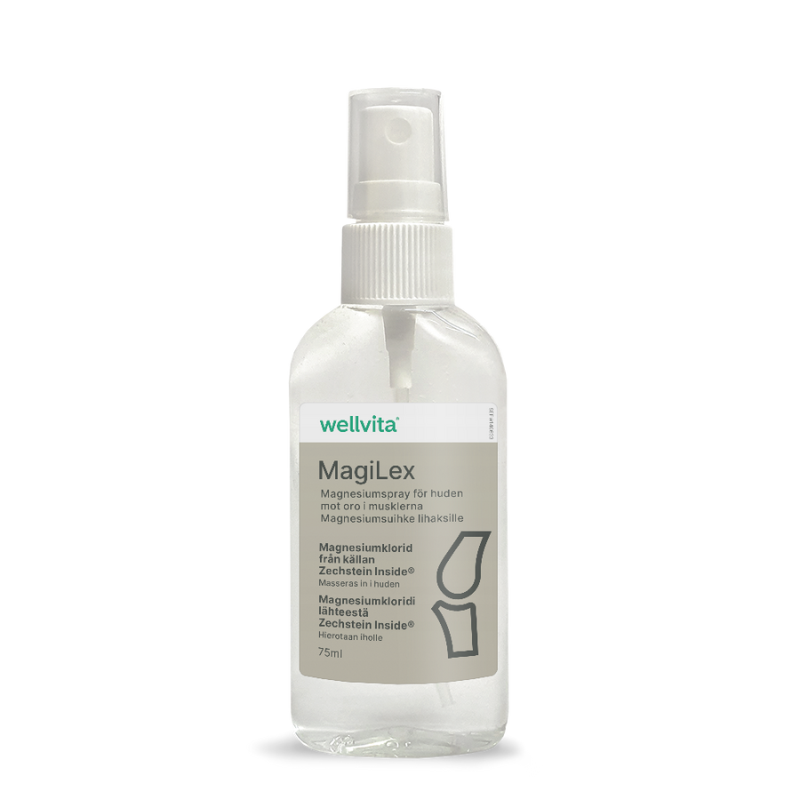 MagiLex billede 1