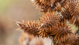 Hydrolet tuotepakkaukset