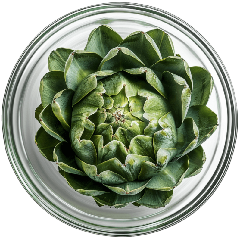 Macoform Plus tuotepakkaukset