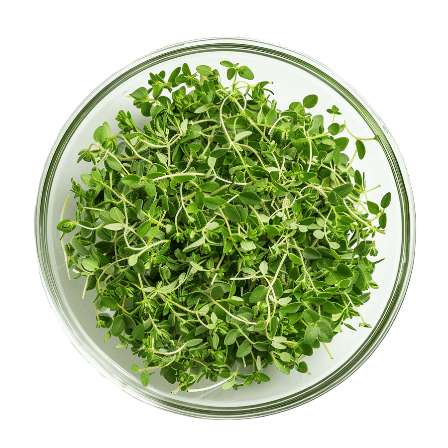 Remital tuotepakkaukset