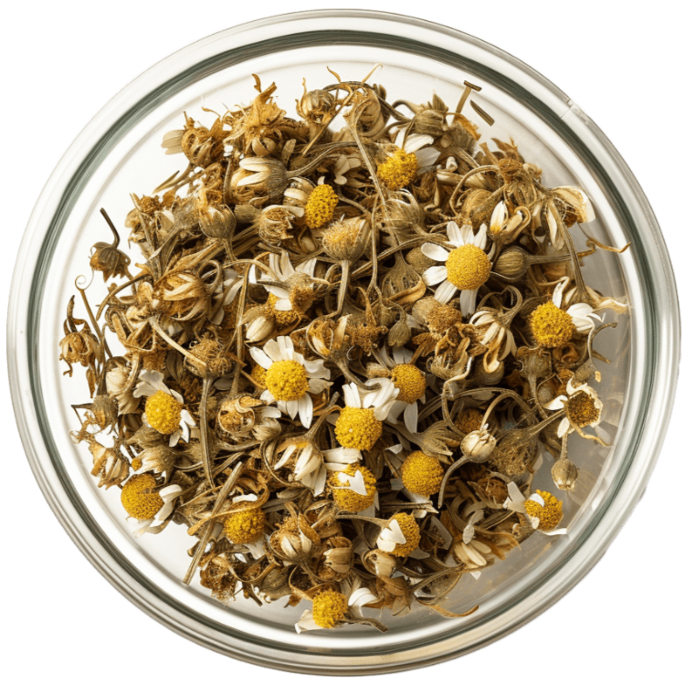 Macoform Plus tuotepakkaukset