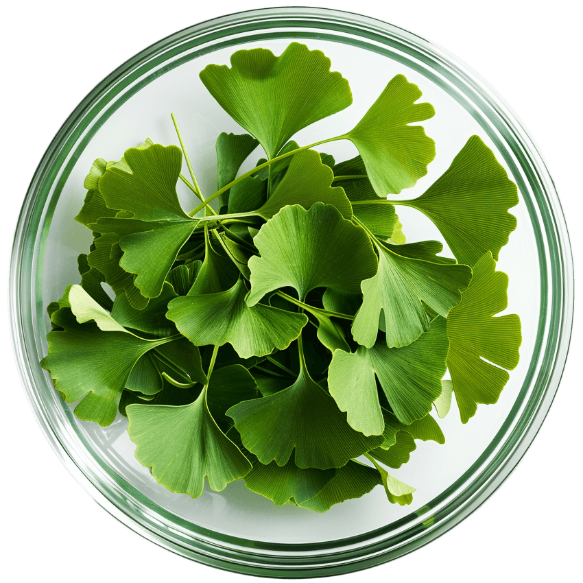 Tempozil tuotepakkaukset