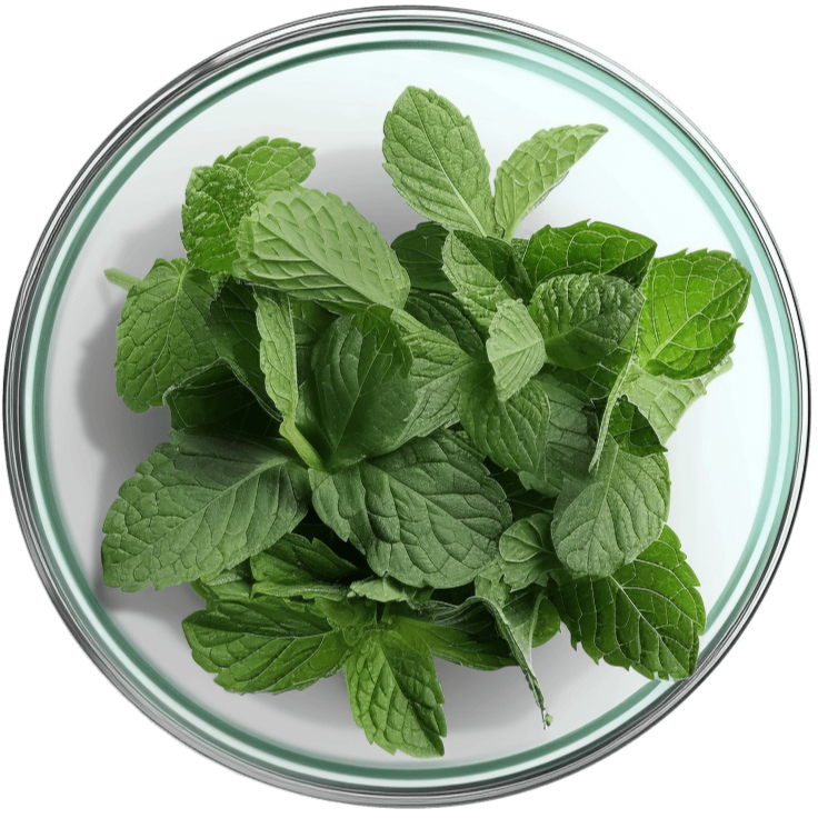 Macoform Plus tuotepakkaukset